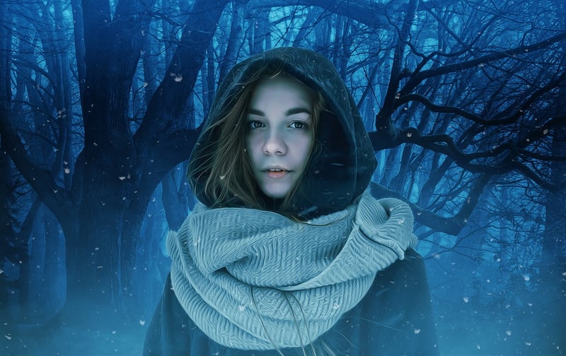 Faerie Forest